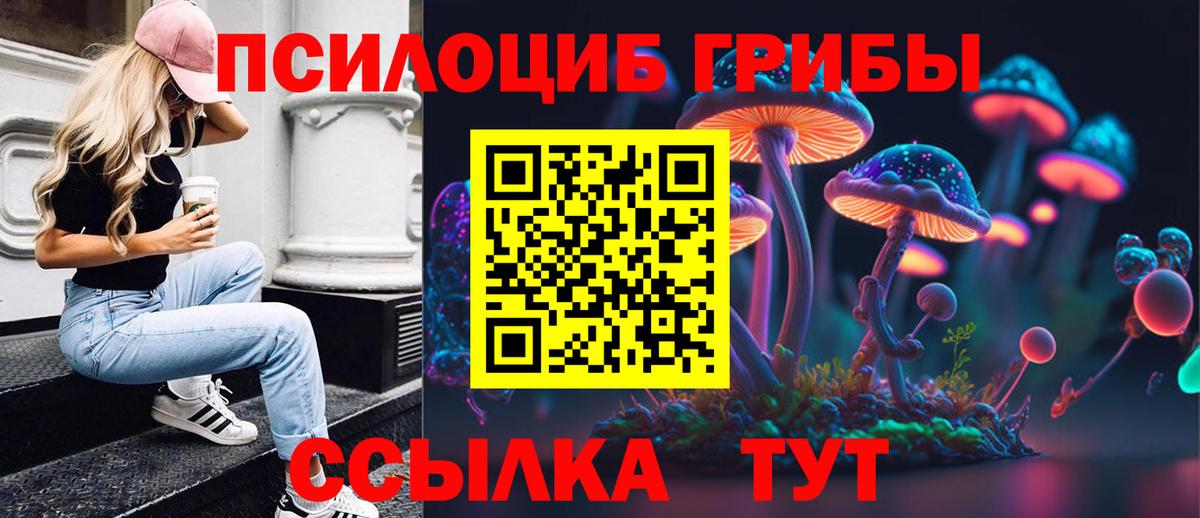 Галлюциногенные грибы Psilocybine cubensis Набережные Челны